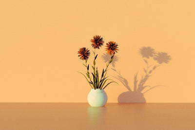 【Day6】更年期の体調リズムを再設計する|40代・50代が心地よく過ごすための科学とヒント