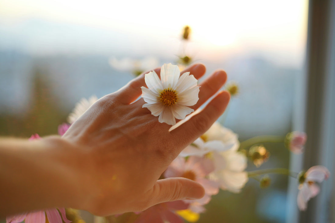 【Day1】10月18日は世界メノポーズデー｜更年期を知り、向き合う日