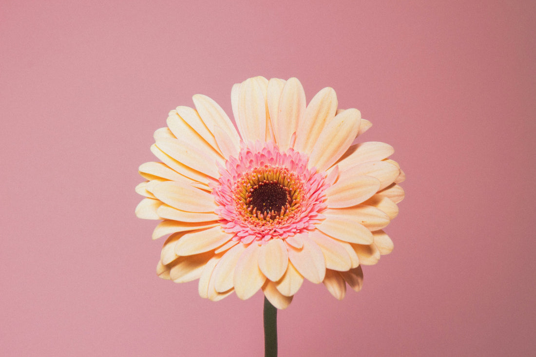 フェムケアとは？これからの私に必要な理由と、無理なく続ける考え方