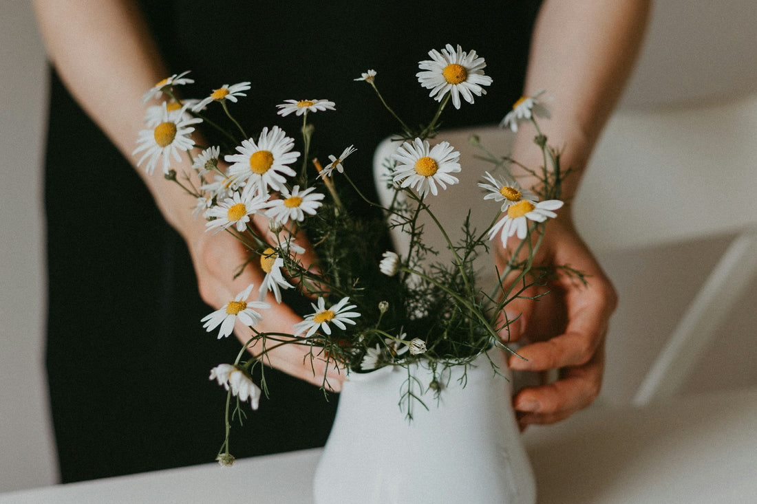 PMS期に肌が乾くのはなぜ？｜黄体期に起きている“粘膜バリア”の変化