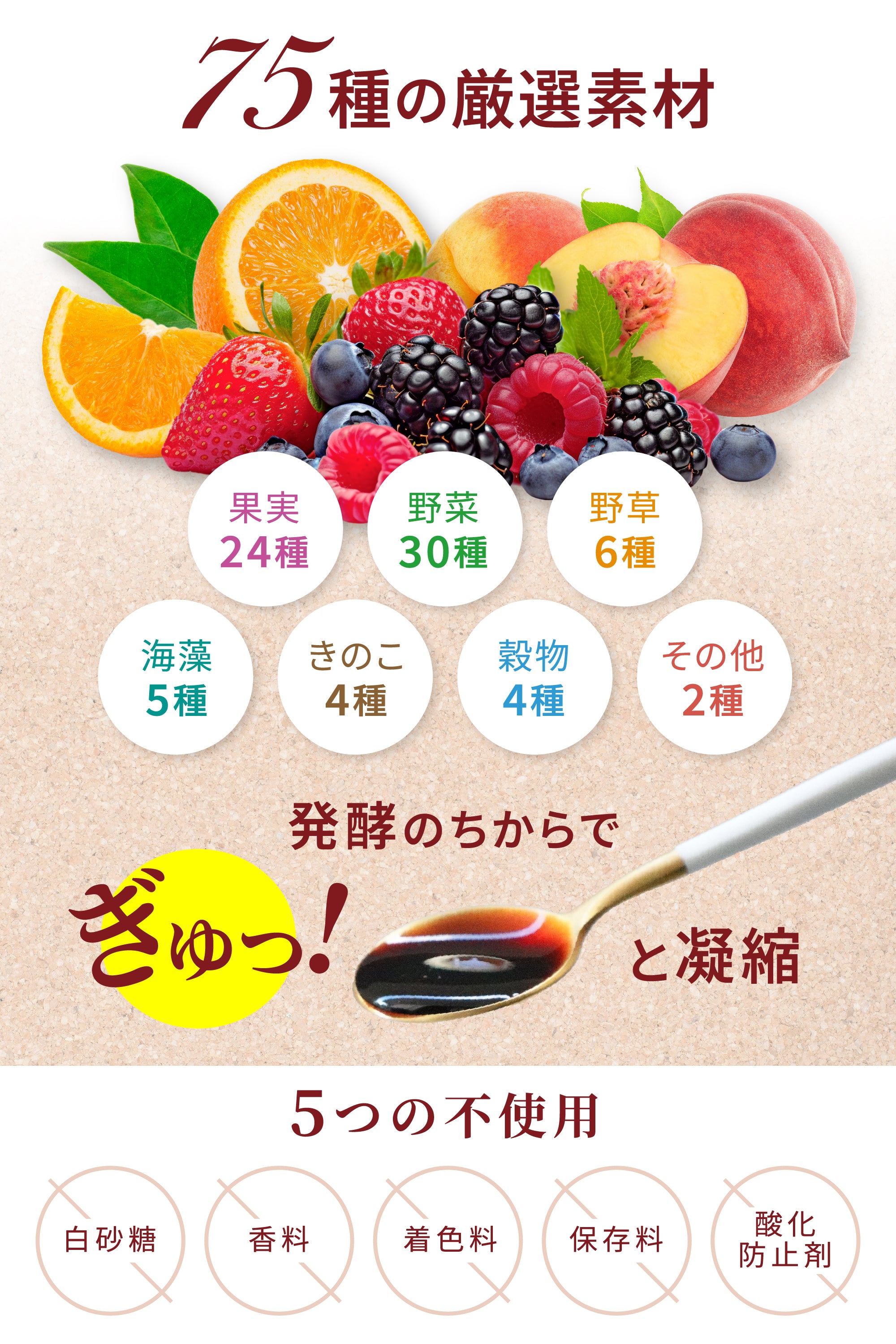 【おためし7日分】わたしの酵活 （送料無料）
